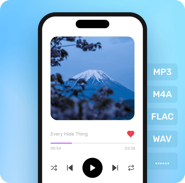 TuneFab Player ·Your Offline Music Hub