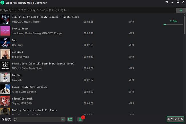 AudFree Spotify Music Converter