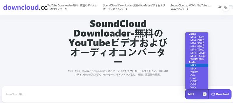 downcloud.cc