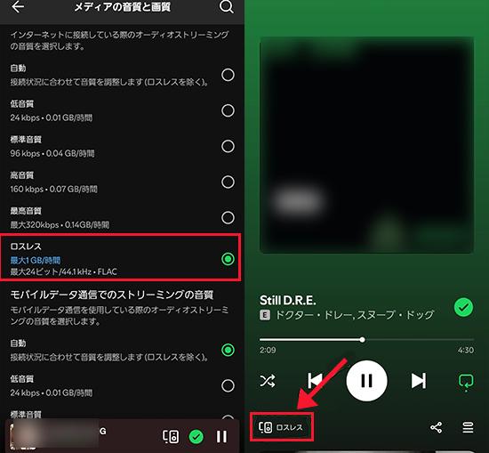 Spotifyロスレス音質
